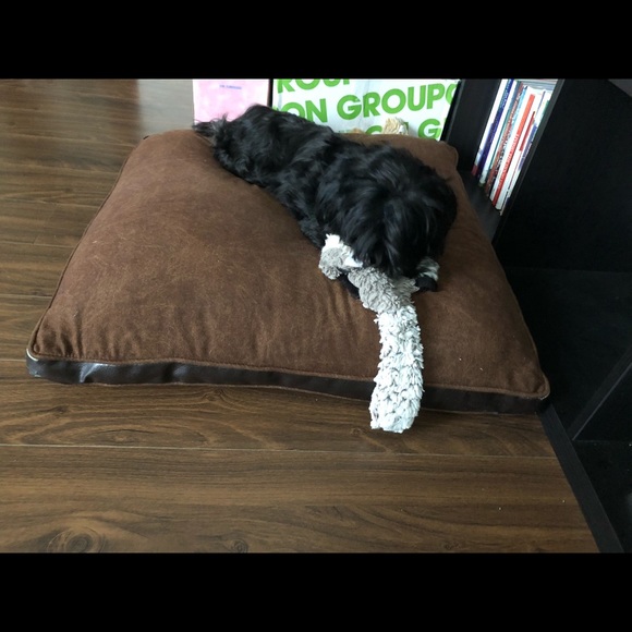 Meet your Posher, Laura louise - Picture 1 of 1